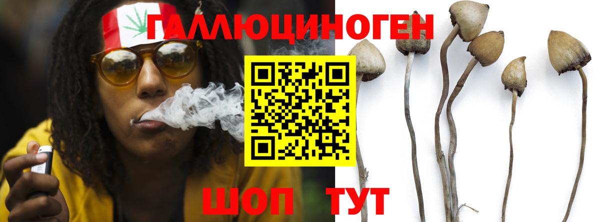 Галлюциногенные грибы Psilocybe  Вход с VPN  Киржач 